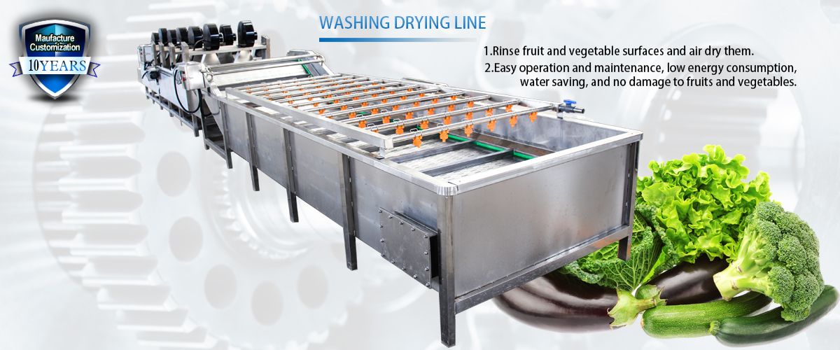 Vegetable washing machine,Fruit bubble washing machine,Vegetable Cleaning wanshing drying line