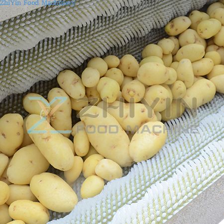 Picture for category Vegetable Peeling Machine