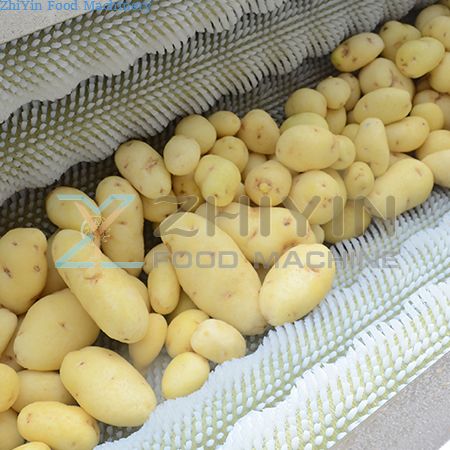 Picture for category Vegetable Peeling Machine