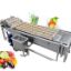 Fully Automatic Vegetable Washing Machine Carrot Washing Machine Vegetable Ozone Cleaning Machine
