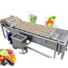 Electric Stainless Steel Fruits Vegetable Automated  Bubble Washing Machine Cleaning Celery Lettuce Beet Onion