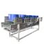 vegetable fruit seafood washing drying machine,Blanching cooling machine