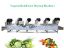 industrial SUS304 stainless steel fruit and vegetable air drying machine