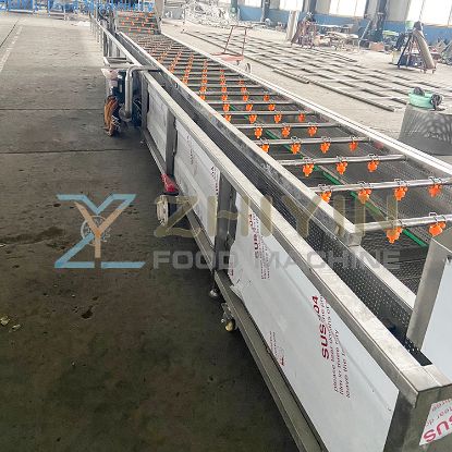 Industrial Vegetable residue cleaning machine, vegetable ozone cleaning fruit Washer Bubble Washing Machine