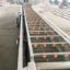 Vegetable residue cleaning machine root vegetables fruit bubble washing machine strawberry processing line