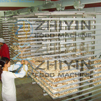 Vacuum Freeze Dryer vegetable  fruit Vacuum Freeze Drying Industrial 200kg Freeze Drying Machine