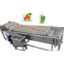 Fruit Ozone Cleaning Machine Vegetable Bubble Washing Machine