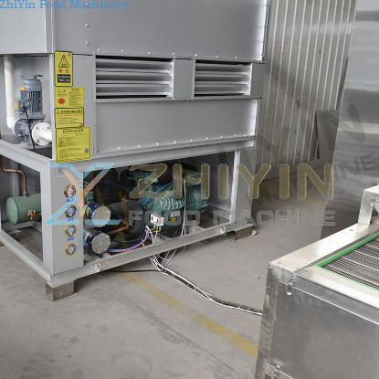 300kg/h Food Freezing Production Machine Frozen French Fries Making Line Low Temperature IQF Machine