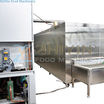 100-500kg/h Food Freezing Machine Frozen French Fries Making Line Low Temperature Freezer Factory Price IQF Machine