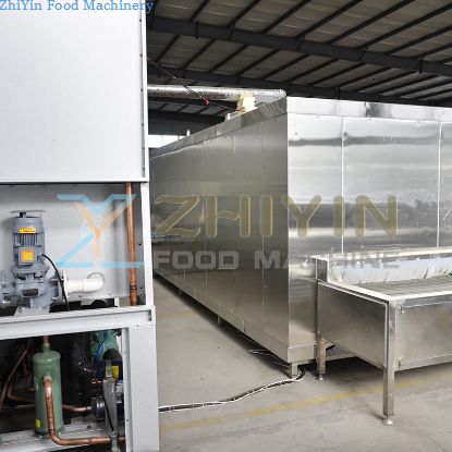 300kg/h IQF Machine Food Freezing Machine Frozen French Fries Making Line Low Temperature Freezer