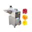 Industry Electrical Fruit And Vegetable Cutting Machine 6mm Root Vegetables Ginger Carrot Onion Processing Diced Machine