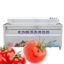 Fruit Vegetable Diced Apple Cleaning Machine Commercial Stainless Steel Root Vegetable Cleaning Washer Processing Equipment