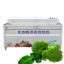 Industrial Fresh Vegetable Fruits Cleaning Drying Processing Machinery Dry Dates Washing Machine Fruit Cleaning Equipment