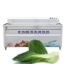 Fruit And Vegetable Washing Machine Potato Tomato Washer Diced Fruit And Root Vegetable Washing Cleaning Machinery