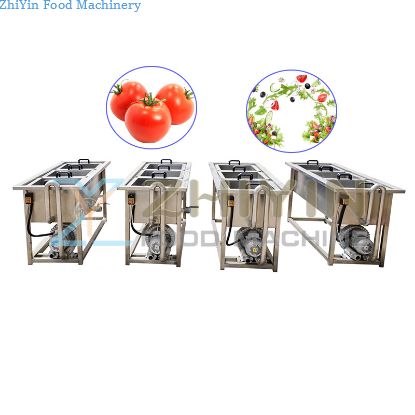 SUS 304 Industrial Commercial Vegetable Washing Washer Vegetable Fruit Bubble Washing Machine Nuts Processing Machine