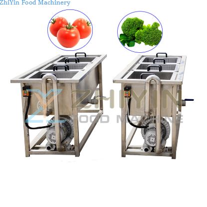 Industrial SUS304 Fresh Fruit Mango Apple Cleaning Machine Air Bubble Vegetable Washing Machine Bubble Washing Machine