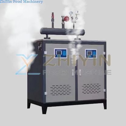 Electric Heating Steam Heating Drying Heating Steam Culture Horizontal Biomass Steam Generator Washing Ironing Food Processing Steam Engine