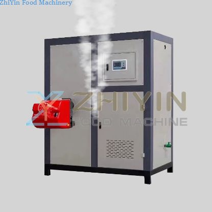 0.5T Gas Heated Steam Generator Vertical Coal-Fired Biomass Steam Generator Steam Generation Boiler Custom
