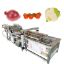 Automatic Industrial Vegetable Mango Cherry Jujube Blueberry Bubble Washing Machine Fruit And Vegetable Cleaning Processing Line