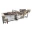 Root Vegetables Pepper Cleaning Machine Automatic Bubble Washing Machine For Fruits Root Vegetable Cleaning Processing Equipment