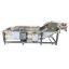 Vegetables Vortex Cleaning Equipment Fruits Cleaning Line Vegetable Fruit Diced Bubble Washing Machine