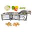 Vegetables Surf Washing Machine Fruits Cleaning Equipment Vegetable Fruit Diced Bubble Washing Machine