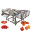 Surf Type Bubble Cleaning Machine For Root Vegetable Fruits Cleaning Equipment Vegetable Fruit Diced Bubble Washing Machinery