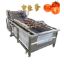 Pickles Sauce Package Processing Machine Vegetable Fruit Cleaning Equipment Vegetable Fruit Diced Bubble Washing Machinery