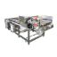 Vegetable And Dried Vegetable Package Processing Equipment Vegetable Fruit Diced Bubble Washing Cleaning Machinery
