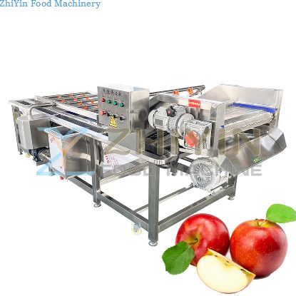 Fully Automatic Vegetable Washing Machine Carrot Washing Machine Fruit Diced Cleaning And Hot Drying Processing Line
