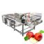 Fully Automatic Vegetable Washing Machine Carrot Washing Machine Fruit Diced Cleaning And Hot Drying Processing Line
