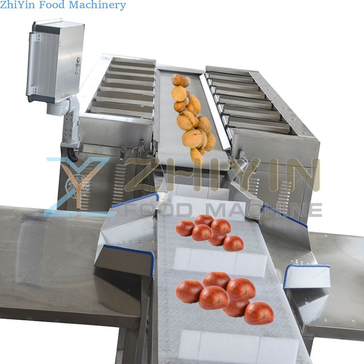 Multi-Station Weighing Combination Scale Food Snack Seafood 14 Head Weighing Machine Manual Belt Balance Gram Weight Ingredients