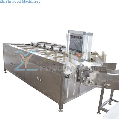 16 Multi Station Combination Scales Beef And Seafood Weighing Machine Manual Belt Scale Ingredient Packaging Weigher Batching