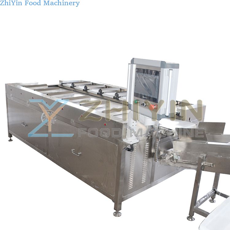 16 Multi Station Combination Scales Beef And Seafood Weighing Machine Manual Belt Scale Ingredient Packaging Weigher Batching