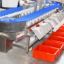 Seafood Quick-Frozen Fish Fillet Weighing And Selecting Machine Rotary Plate Gram Weight Measuring And Selecting Equipment Seafood Gram Weight Measuring And Sorting Machine Durian Meat Weighing Custom