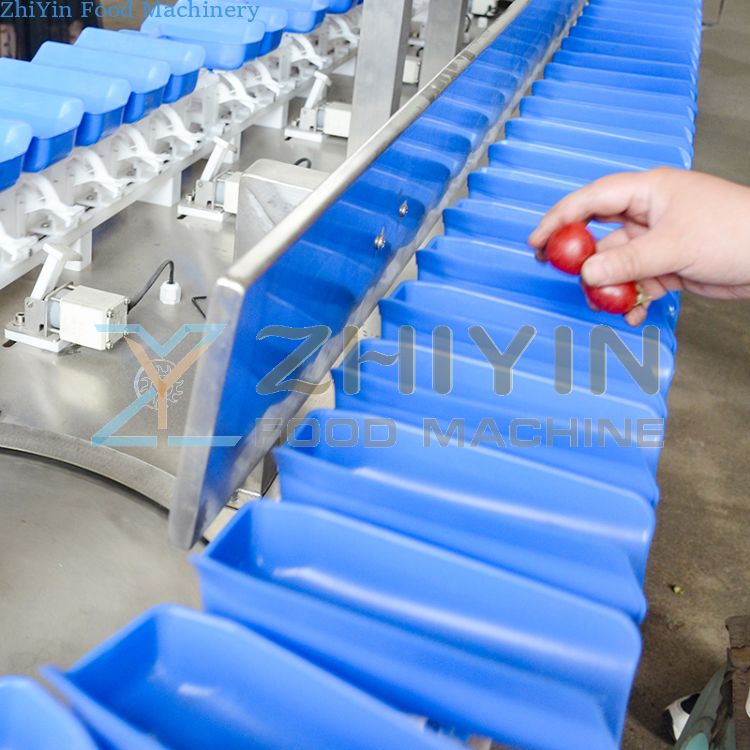 Quick-Frozen Seafood Machine Rotary Plate Gram Weight Measuring Sorting Equipment Custom Durian Meat Fruit Grading Machine Weight Measuring And Sorting Machine Durian Meat Weighing Custom