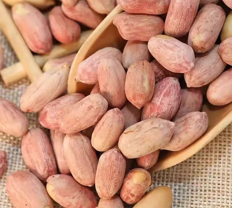 Kacang Renyah Alur Pengolahan Kacang Renyah Bumbu-Proses Pengolahan Kacang Renyah Renyah-Mesin Pengolah Snack Custom Manufacturer.