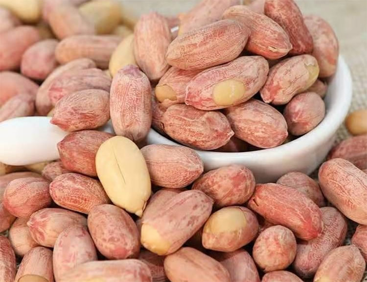 Crispy Peanuts Amendoins temperados crocantes, fluxo de processamento - Processo de processamento de amendoim crocante